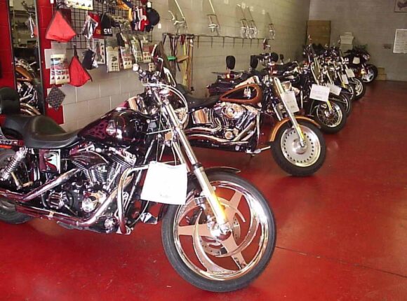 Lined Up Harleys