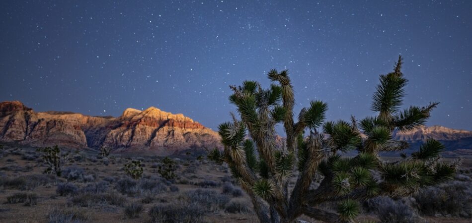 Stars,over,red,rock,canyon,national,conservation,area,near,las